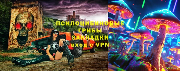 твердый Верхний Тагил