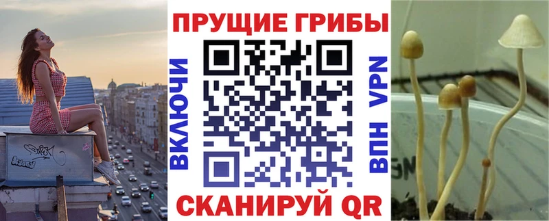 купить   Катав-Ивановск  ОМГ ОМГ как зайти  Псилоцибиновые грибы мухоморы 